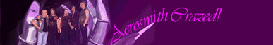 Aerosmith Crazed
